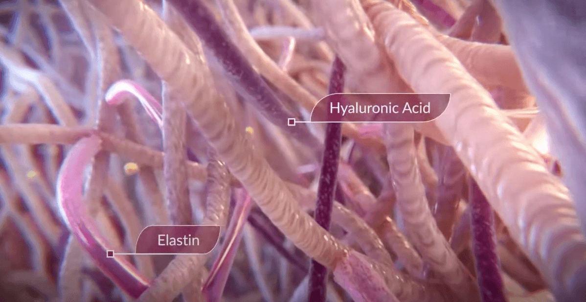 mode-of-action-sculptra